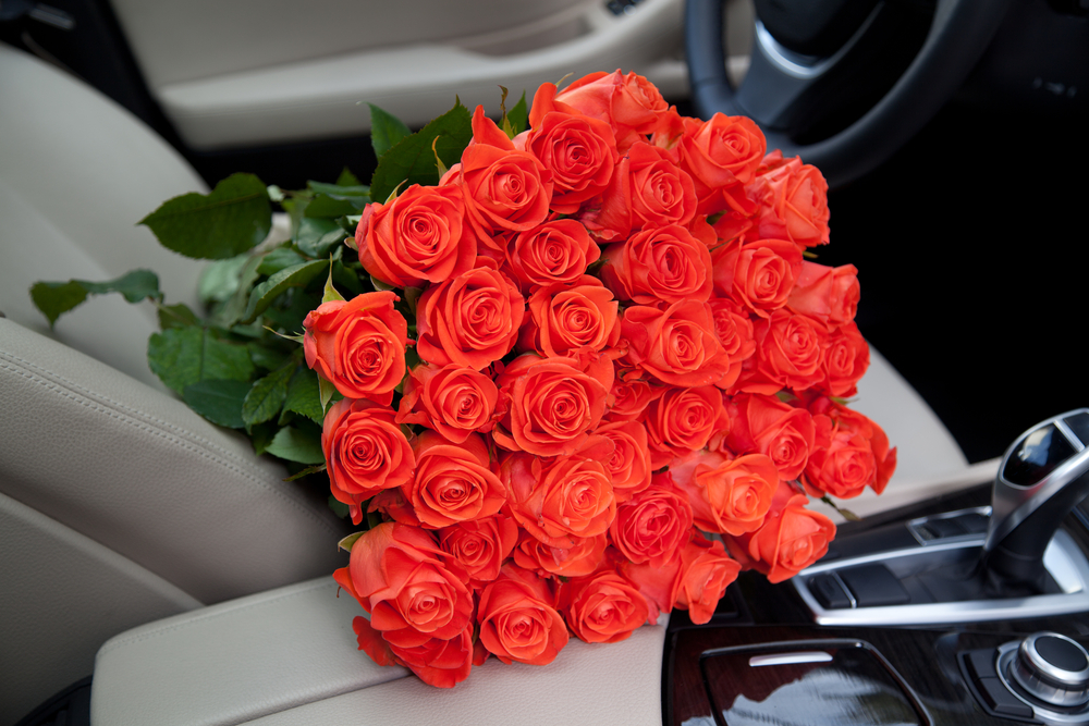 Valentine’s 2026 Date Ideas Around Clearwater