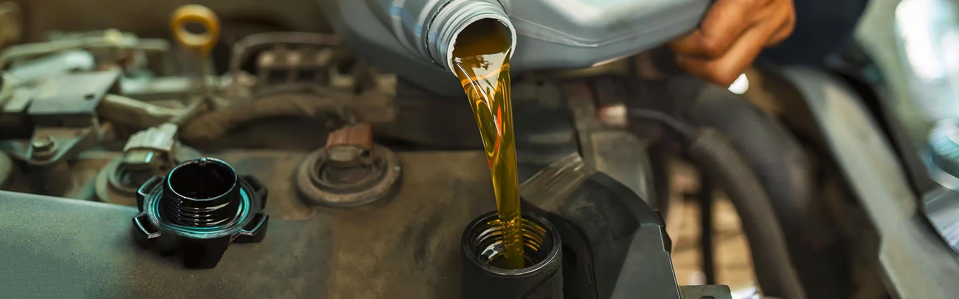 Oil change service in Clearwater, FL